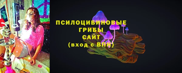 mdpv Коряжма